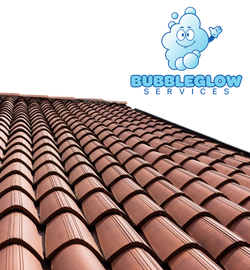 RoofCleaning